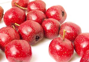 Εκχύλισμα Hawthorn φρούτων