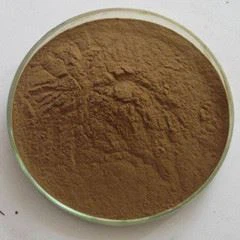 echinacea extract