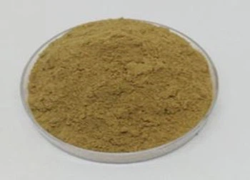 Yucca Extract
