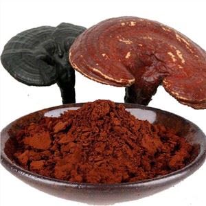 Σπασμένη σκόνη σπορίων Ganoderma