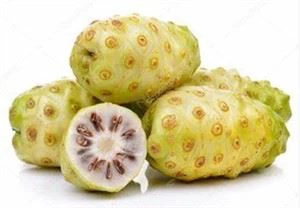 Noni Fruit Powder