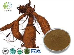 Εκχύλισμα Pueraria