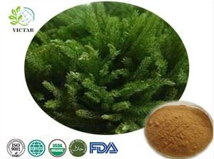 Εκχύλισμα Huperria serrata
