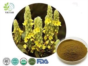 Εκχύλισμα Mullein