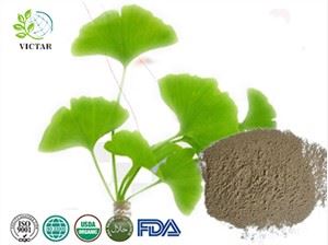 Βιολογική σκόνη Ginkgo Biloba