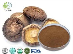 Εκχύλισμα μανιταριών Shiitake