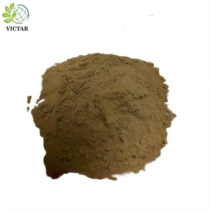 Σκόνη φύλλων Ginkgo