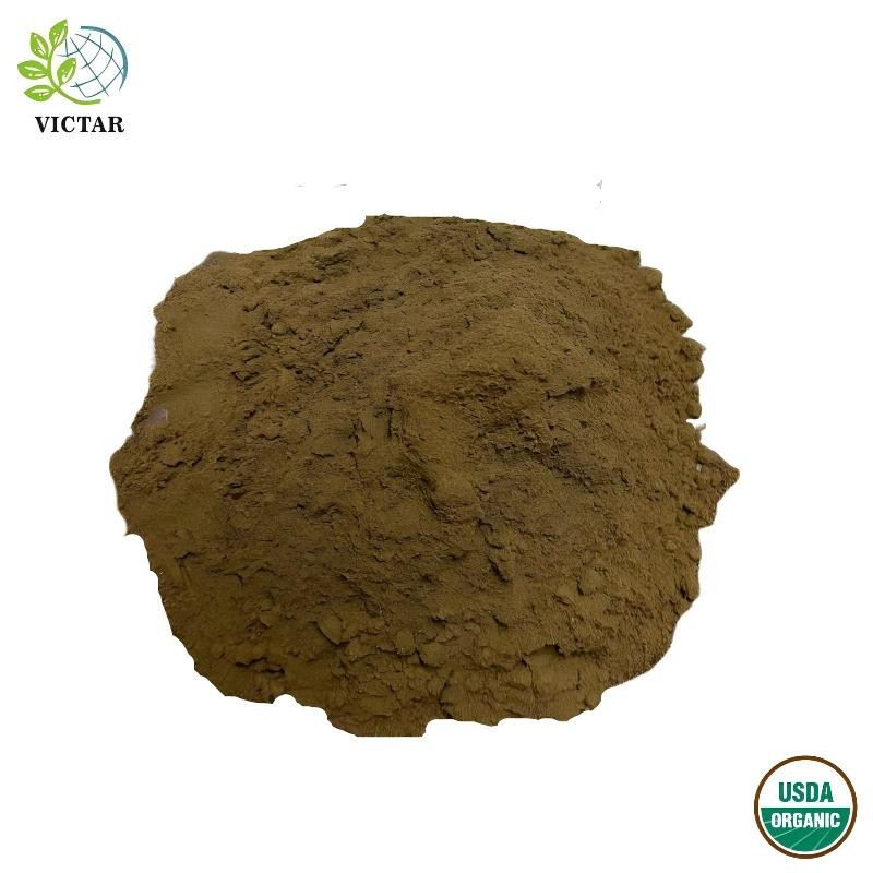 Βιολογική σκόνη φύλλων Ginkgo Biloba