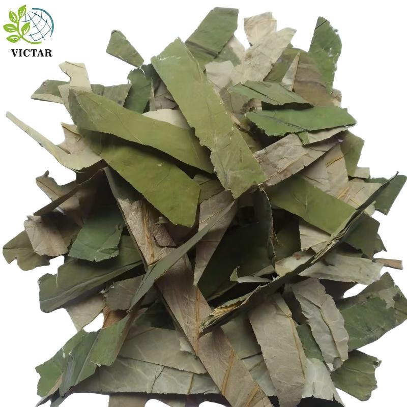 product-800-800