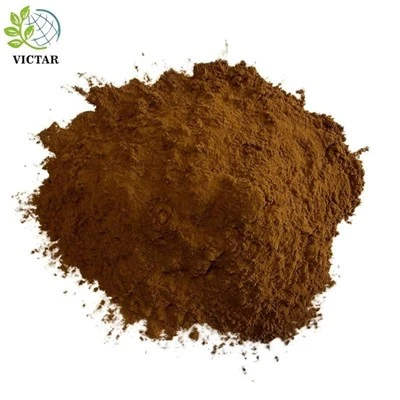 Σκόνη μανιταριού Chaga